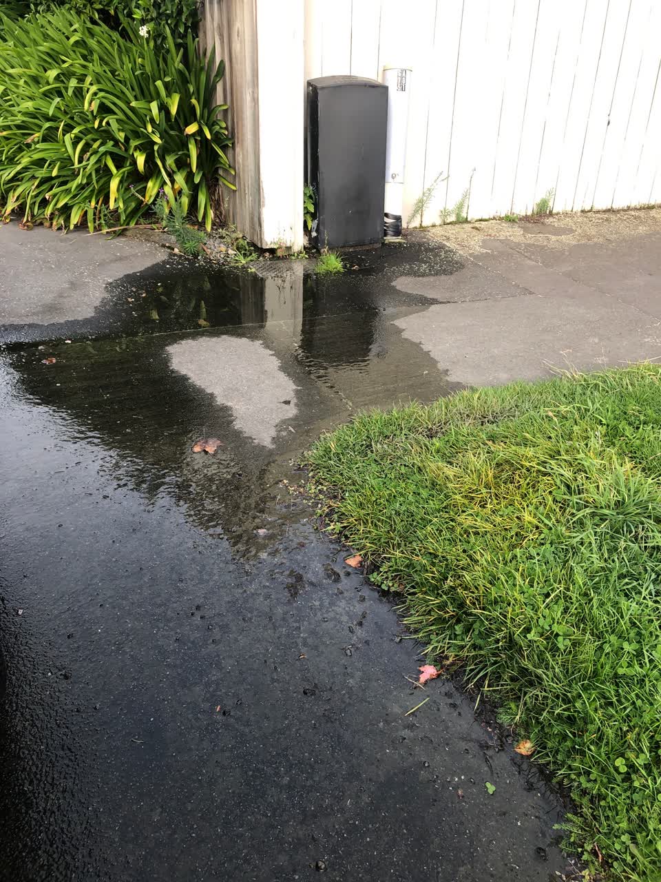 The photograph attached to this water leak report