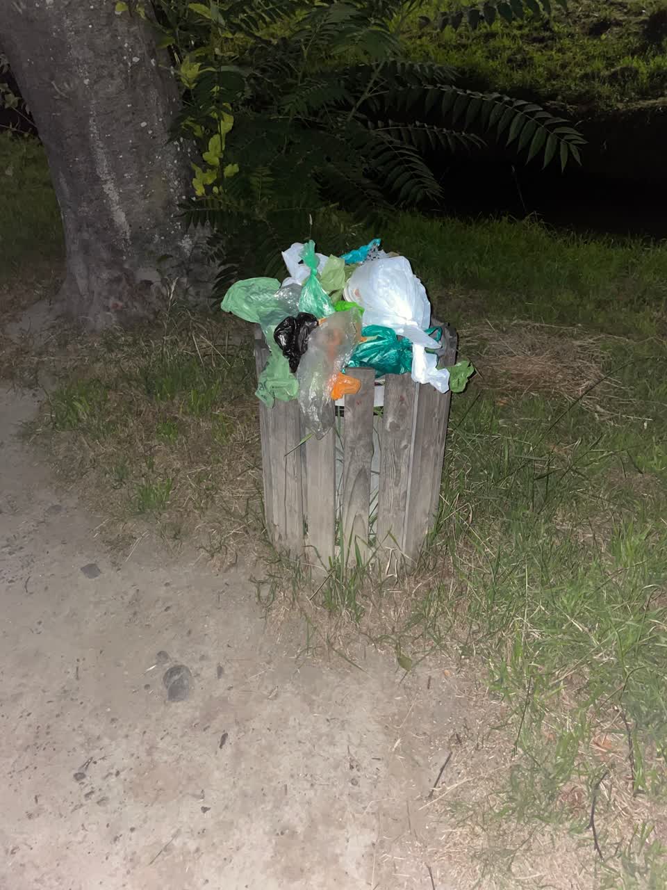 The photograph attached to this rubbish/recycling report