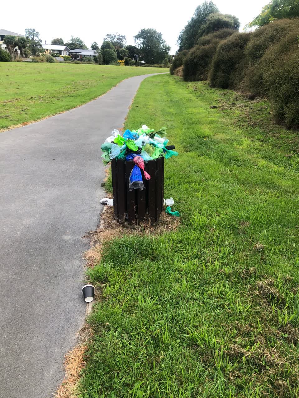 The photograph attached to this parks report