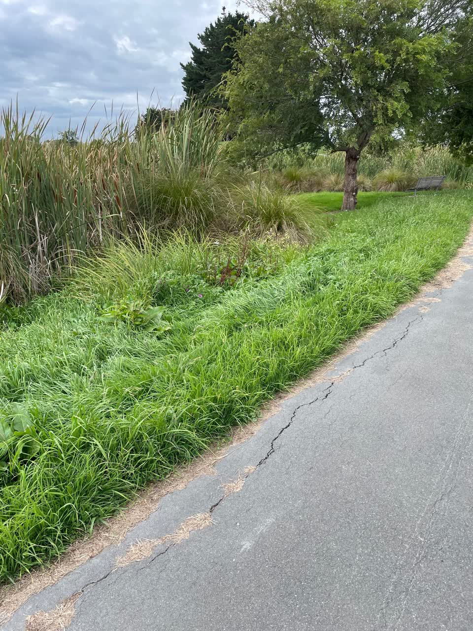 The photograph attached to this parks report