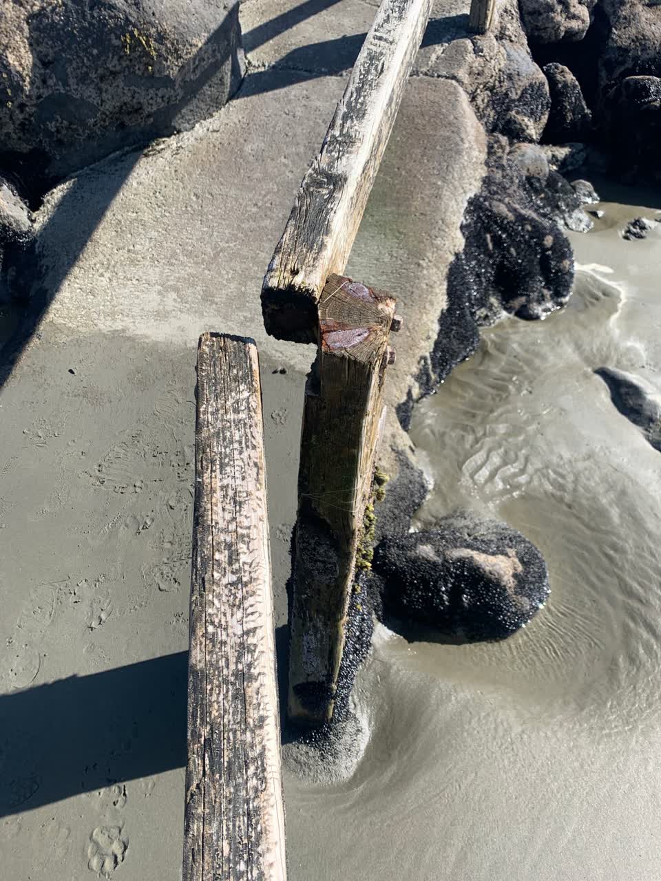 The photograph attached to this parks report