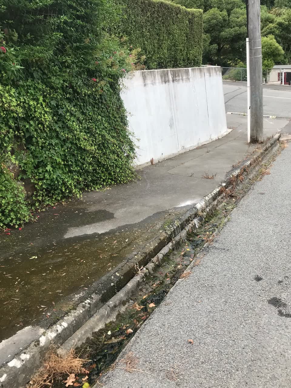 The photograph attached to this water leak report