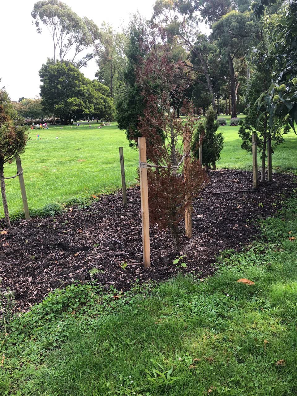 The photograph attached to this parks report