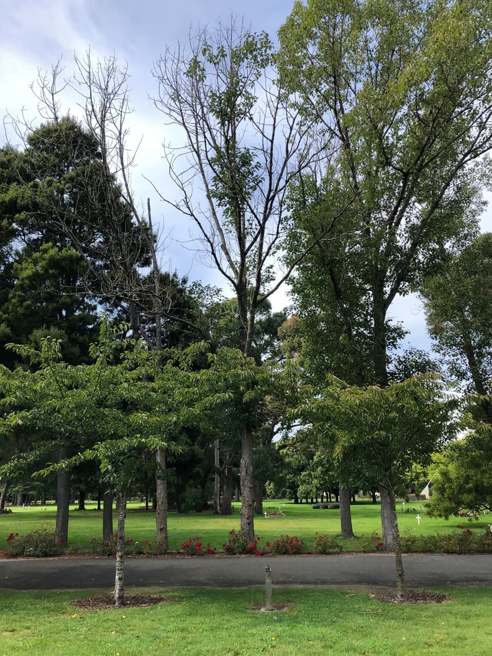 The photograph attached to this parks report