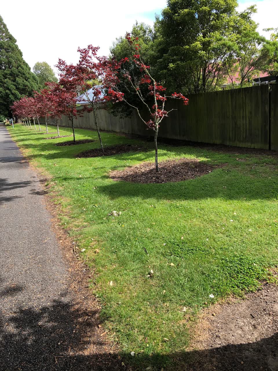The photograph attached to this parks report