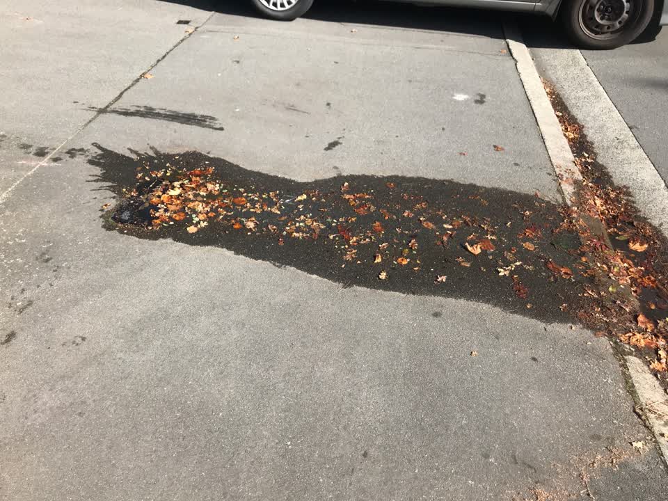 The photograph attached to this water supply report