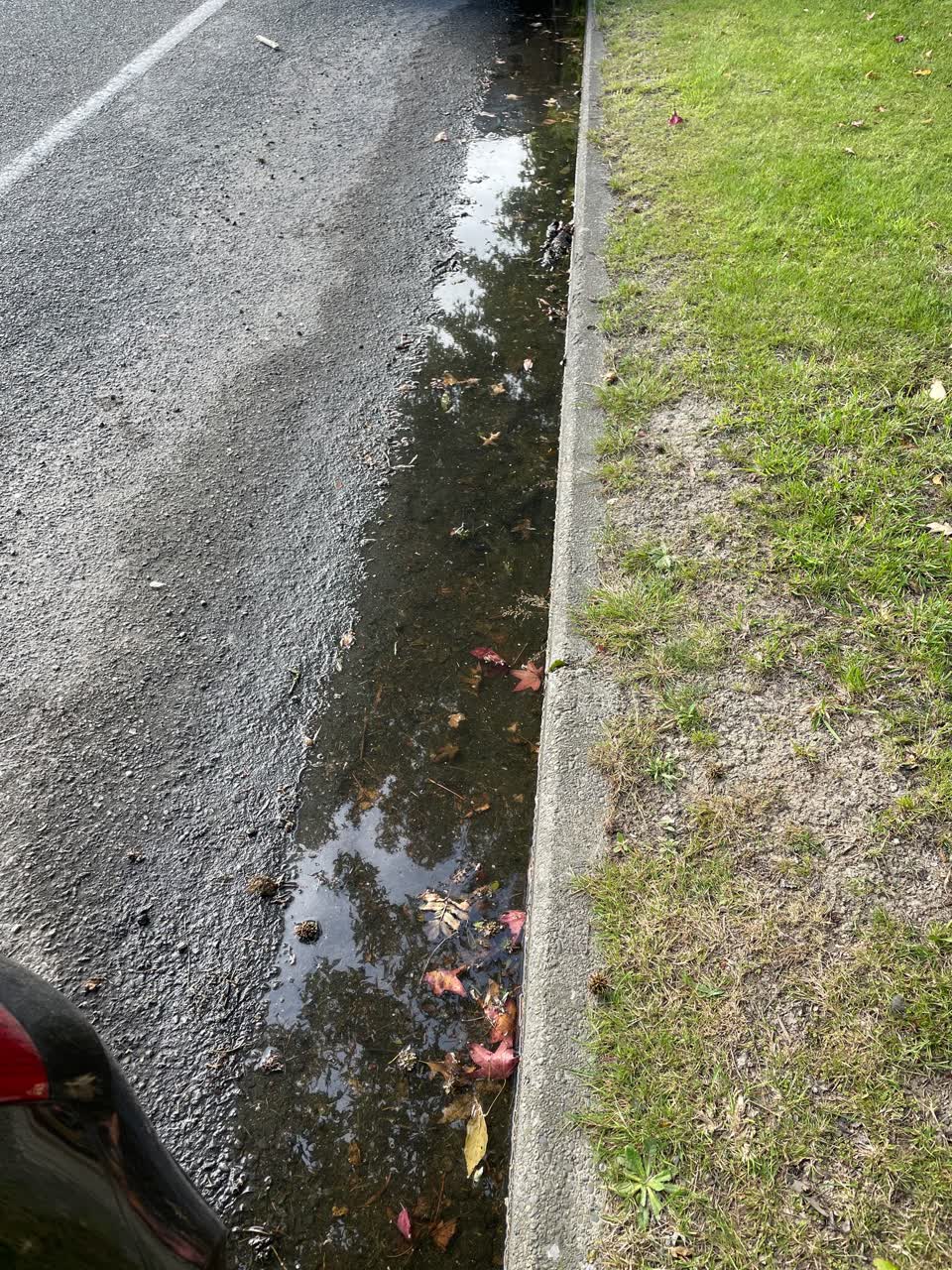 The photograph attached to this sewer - leak / blockage report