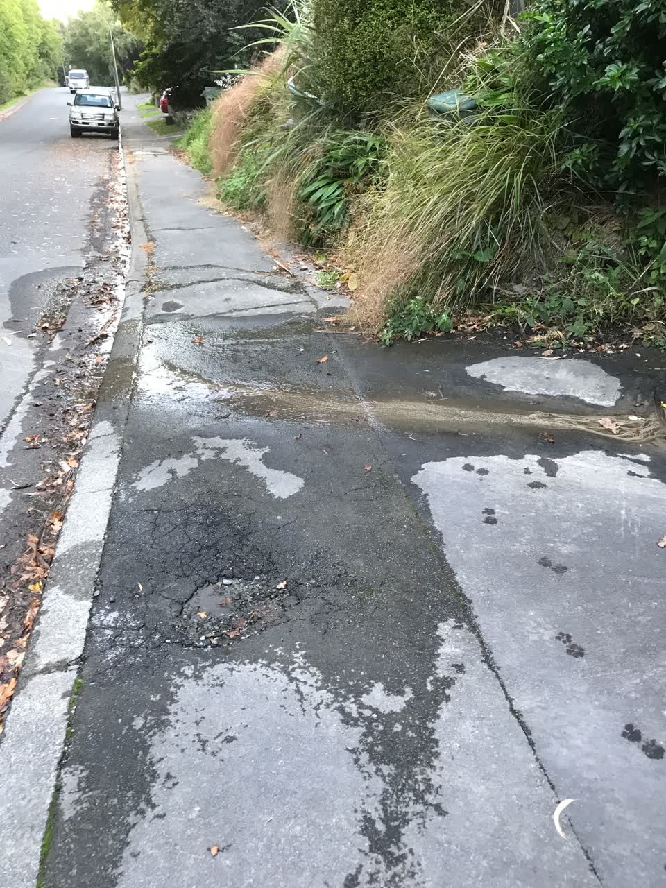 The photograph attached to this water leak report