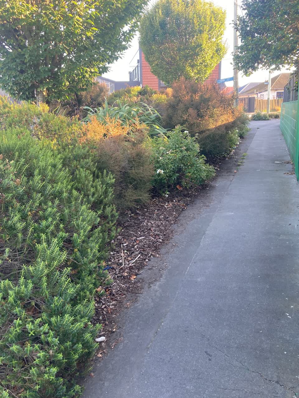 The photograph attached to this roading/streets report