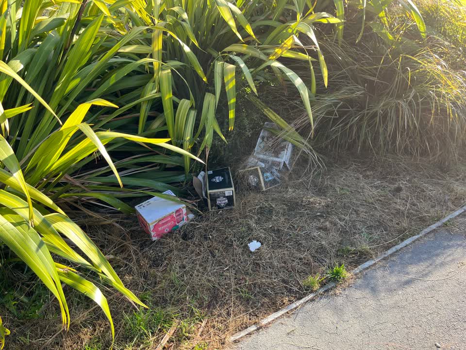 The photograph attached to this rubbish/recycling report