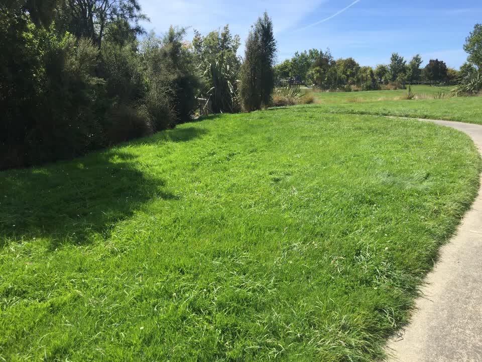 The photograph attached to this parks report