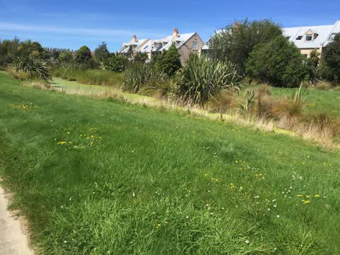 Parks, a report photo