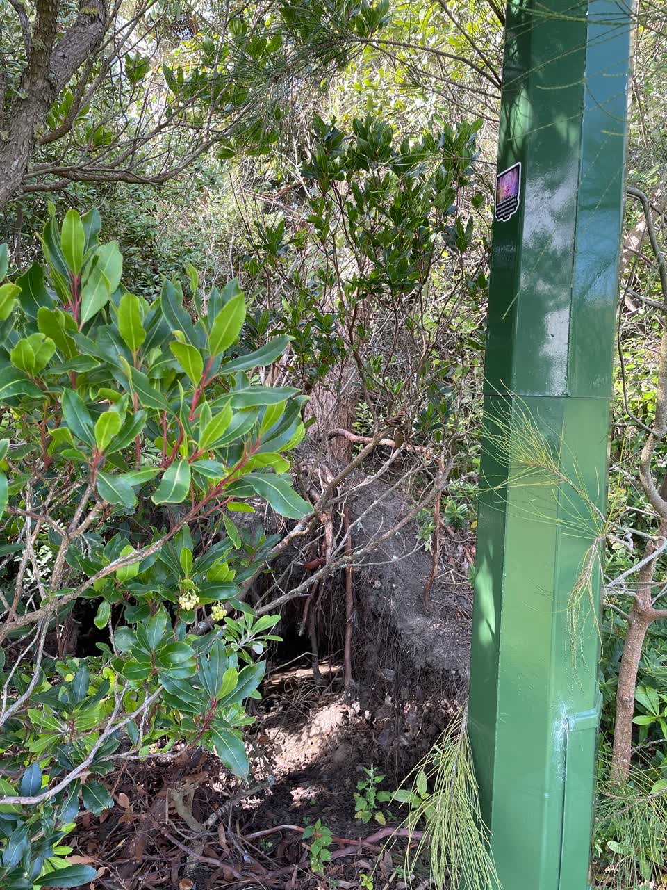 The photograph attached to this parks report