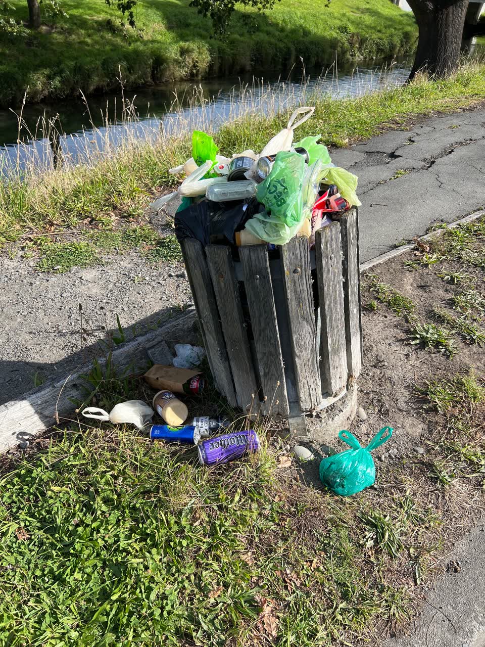 The photograph attached to this rubbish/recycling report