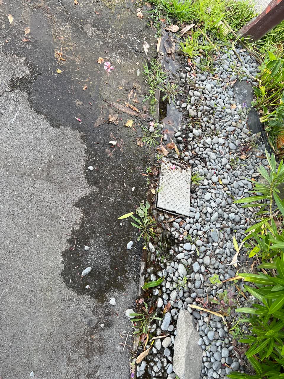 The photograph attached to this water leak report