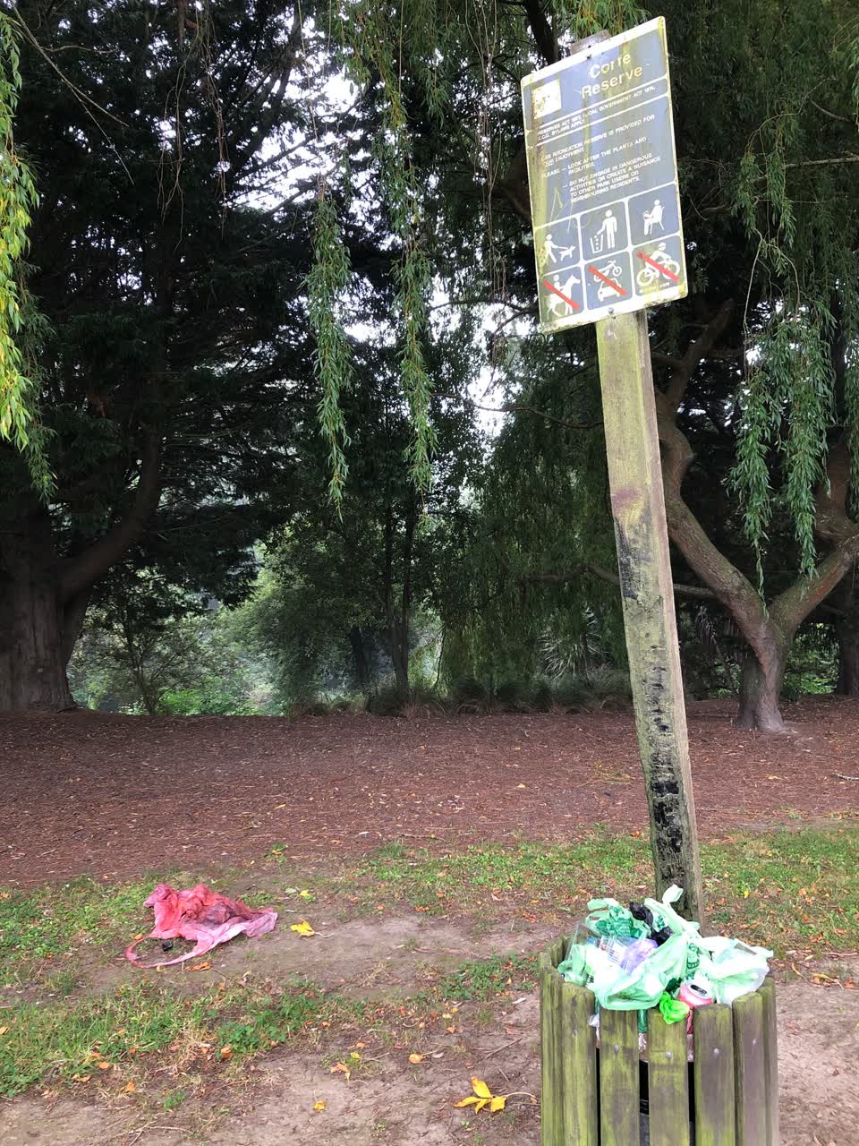 The photograph attached to this rubbish/recycling report