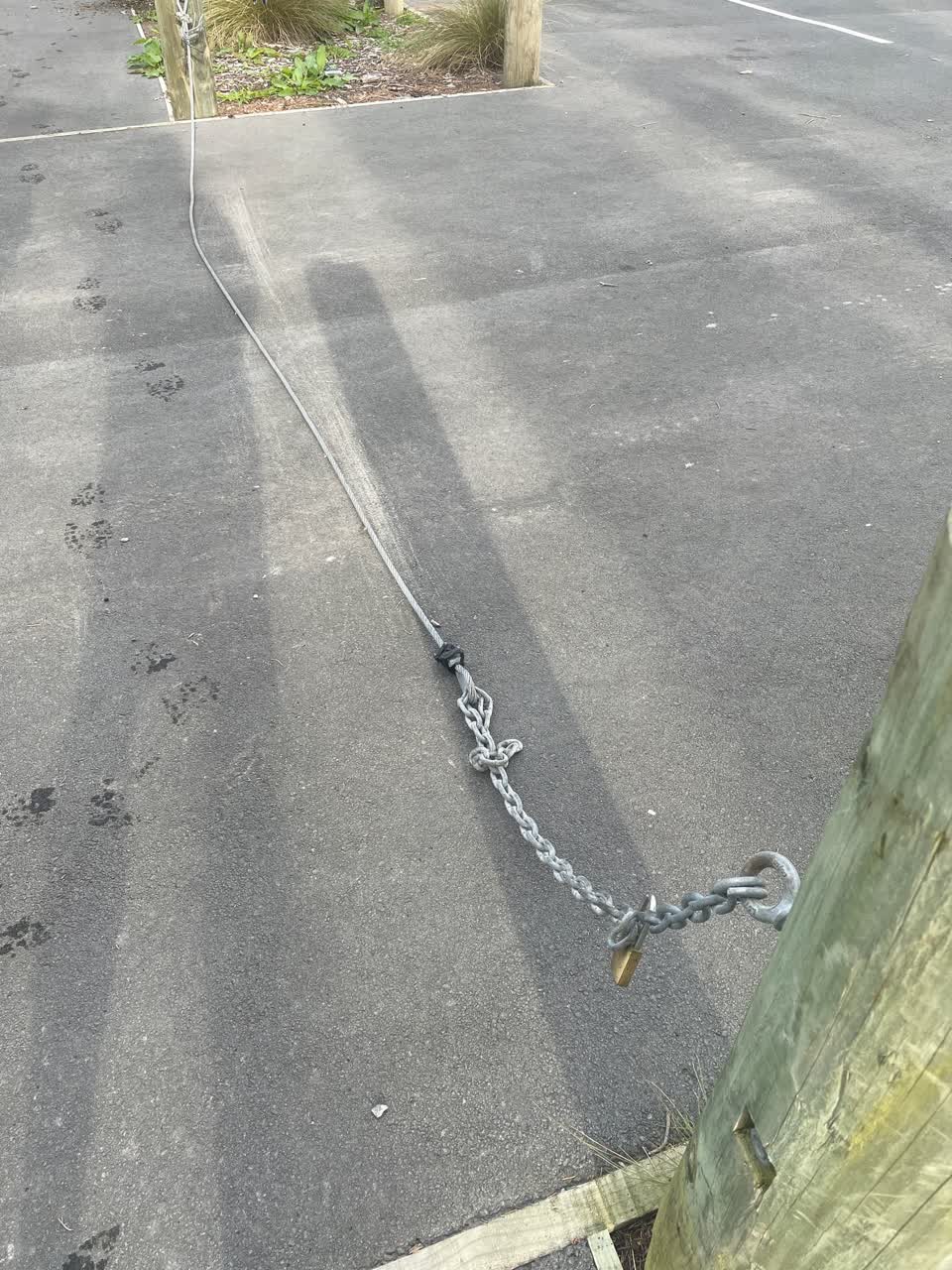 The photograph attached to this parks report