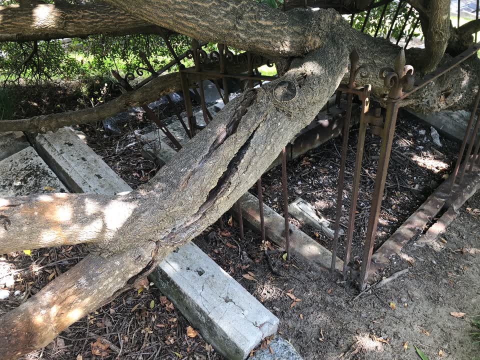 The photograph attached to this parks report