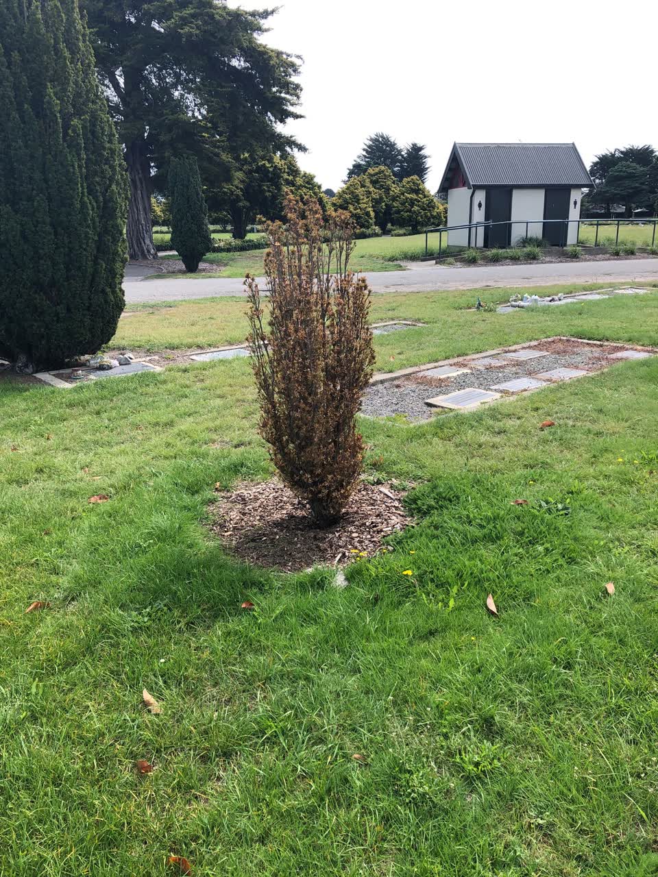 The photograph attached to this parks report