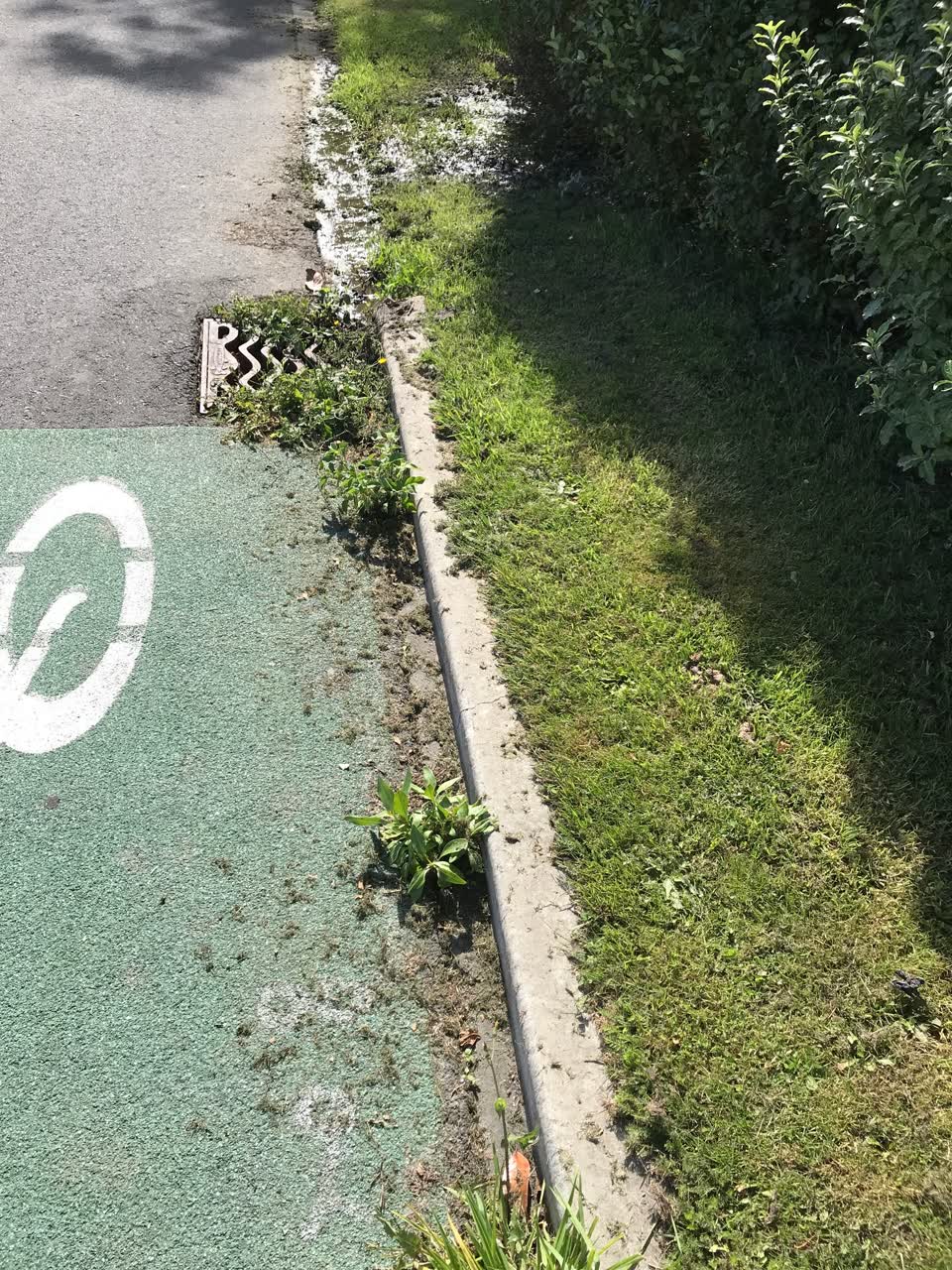 The photograph attached to this roading/streets report