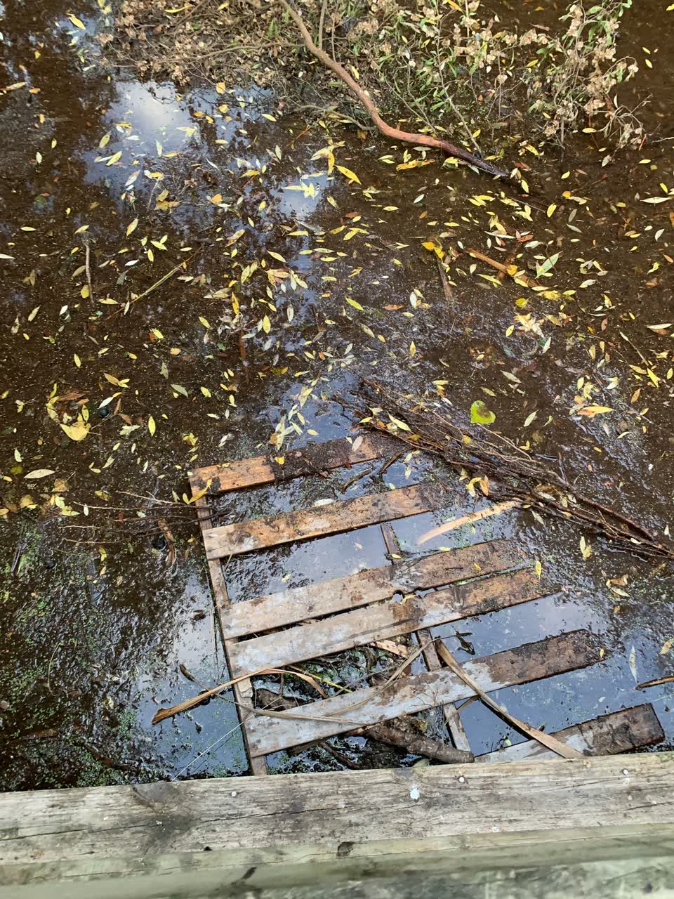 The photograph attached to this parks report