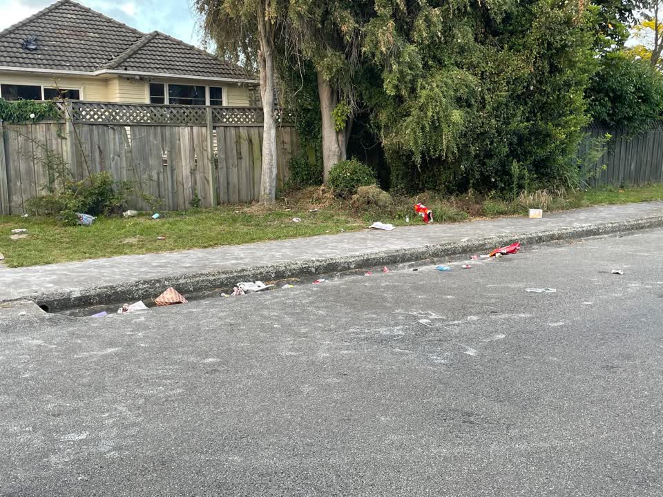 The photograph attached to this rubbish/recycling report