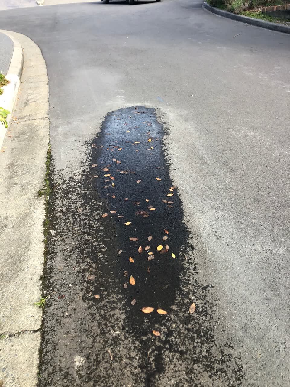 The photograph attached to this water leak report
