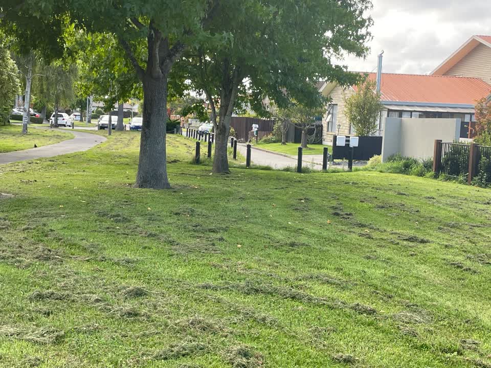The photograph attached to this parks report