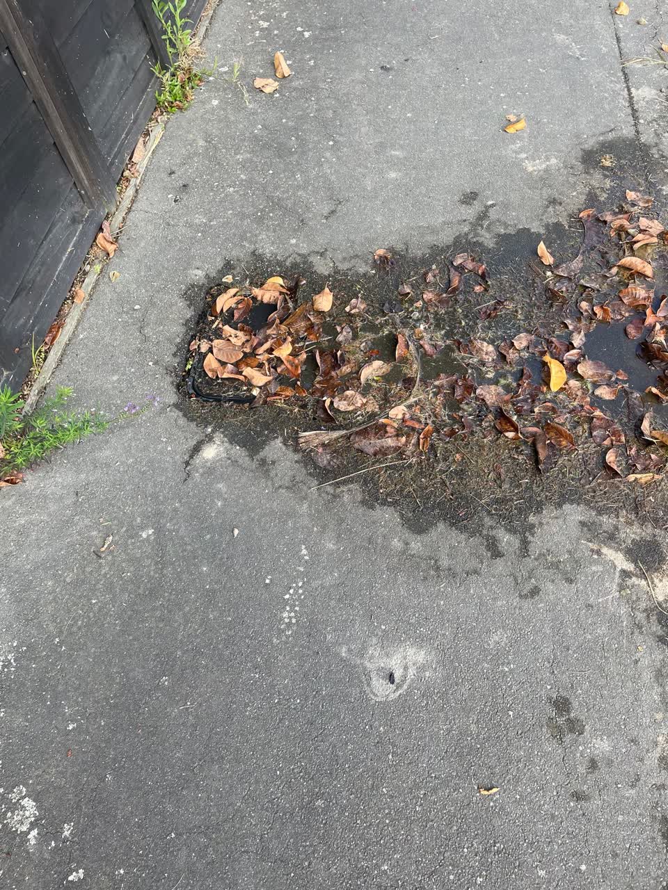 The photograph attached to this water leak report