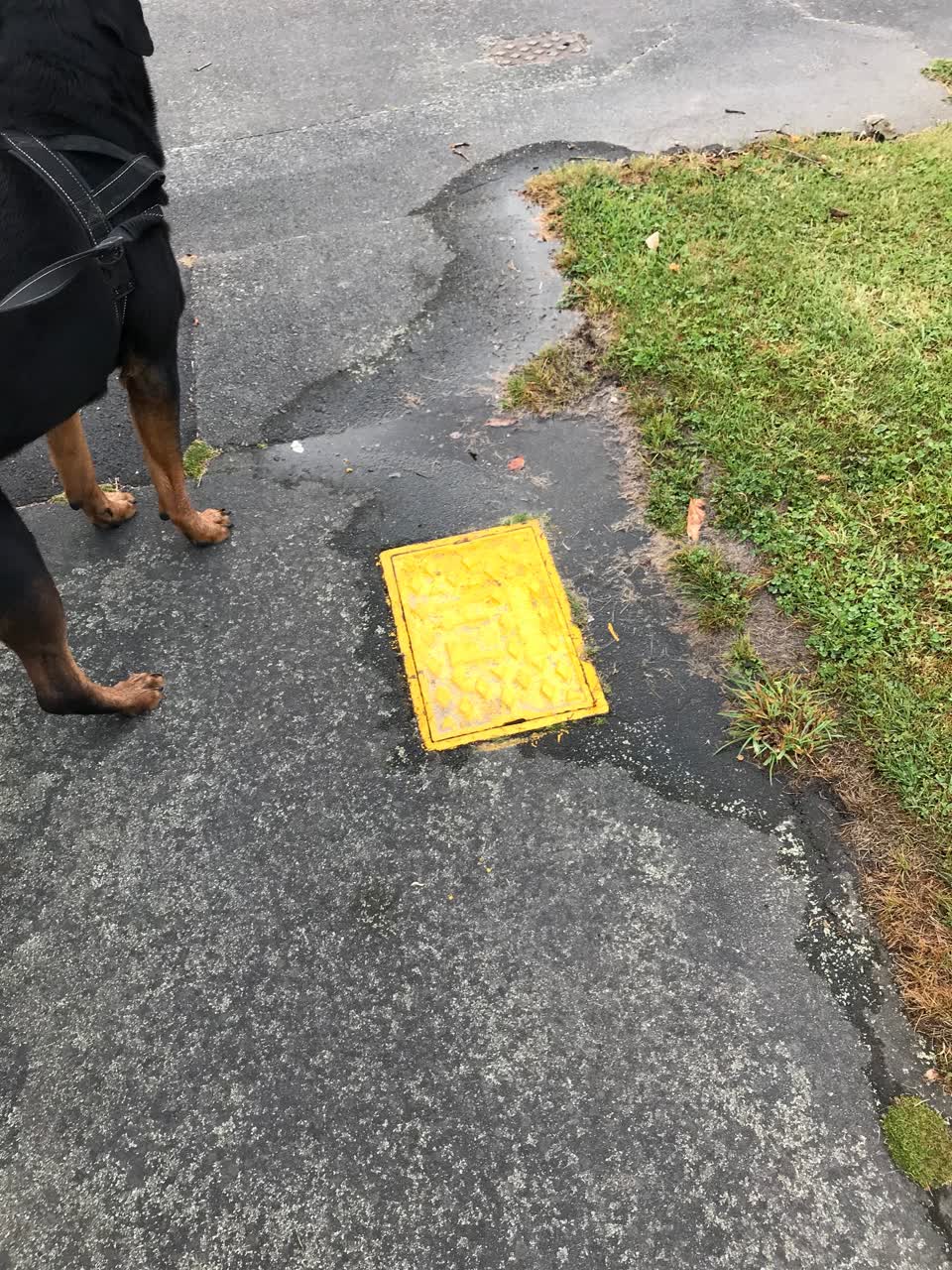 The photograph attached to this water leak report