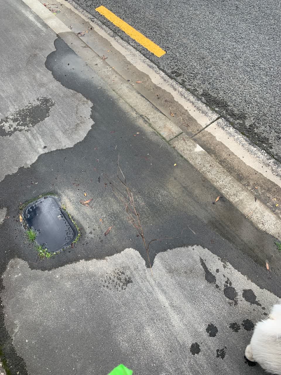 The photograph attached to this water leak report