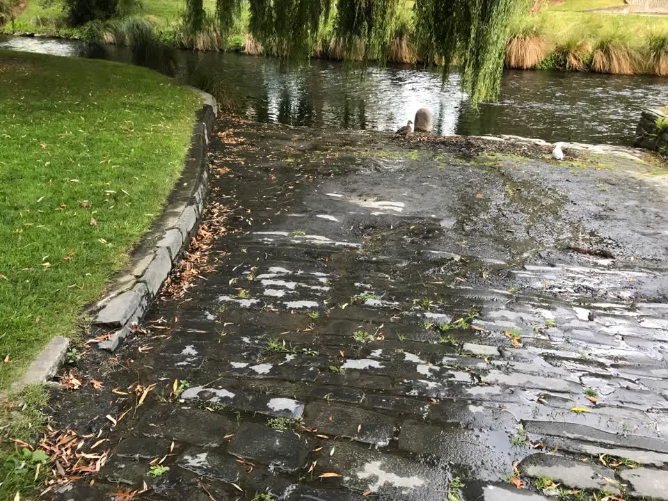 The photograph attached to this water leak report