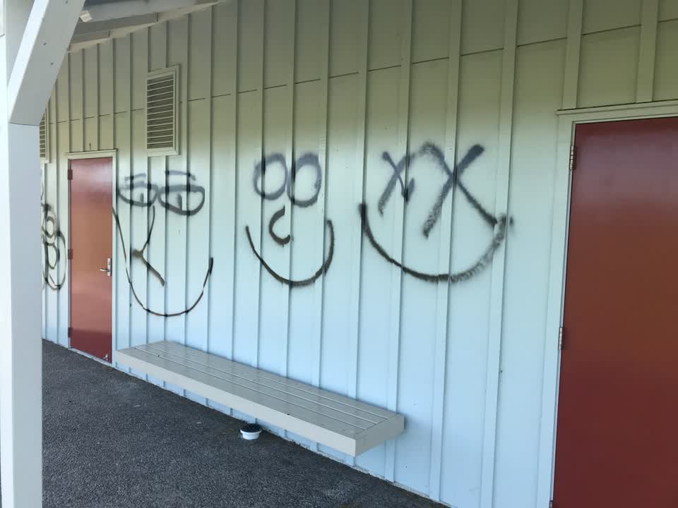 The photograph attached to this graffiti report