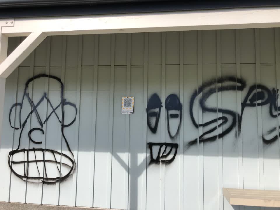 The photograph attached to this graffiti report