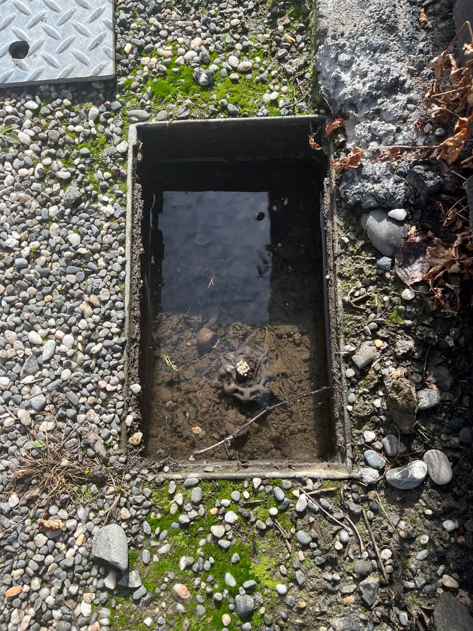 The photograph attached to this water leak report