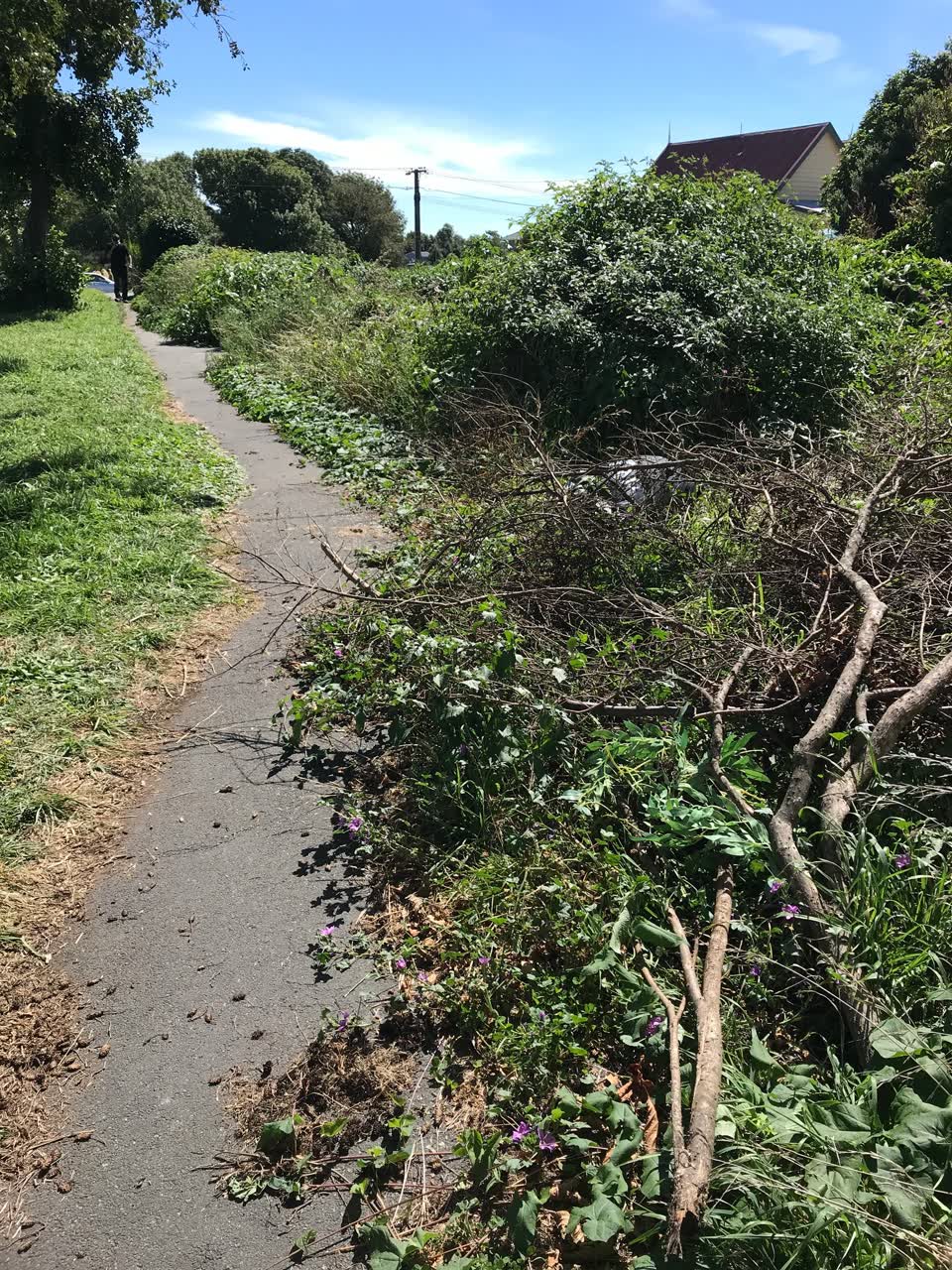 The photograph attached to this roading/streets report