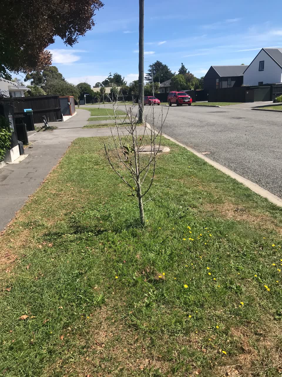 The photograph attached to this parks report