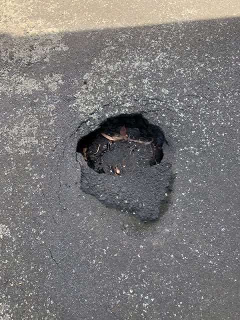 Roading/Streets, a report photo