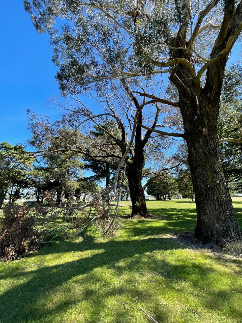 The photograph attached to this parks report