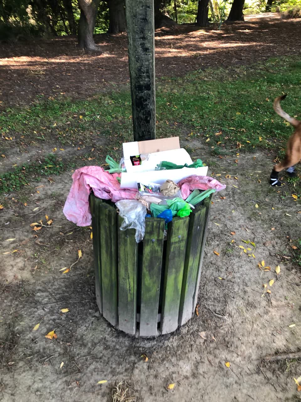 The photograph attached to this rubbish/recycling report