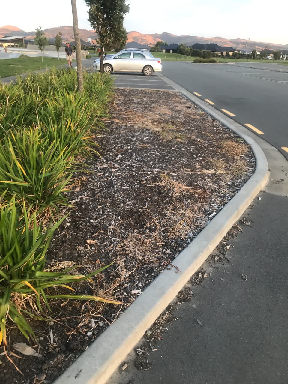 The photograph attached to this parks report