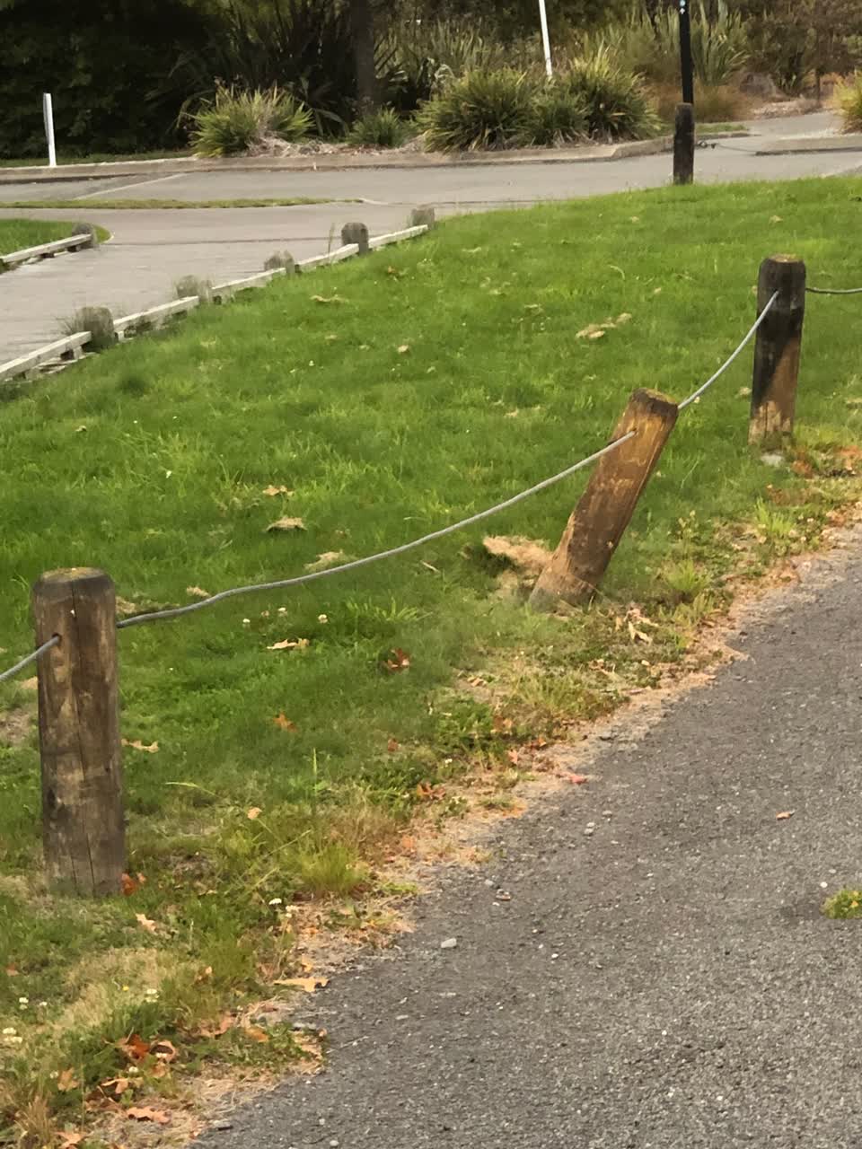 The photograph attached to this parks report
