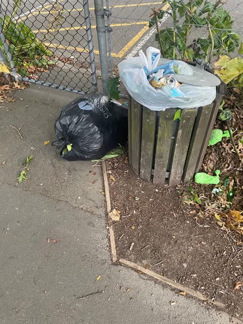 Rubbish/Recycling, a report photo