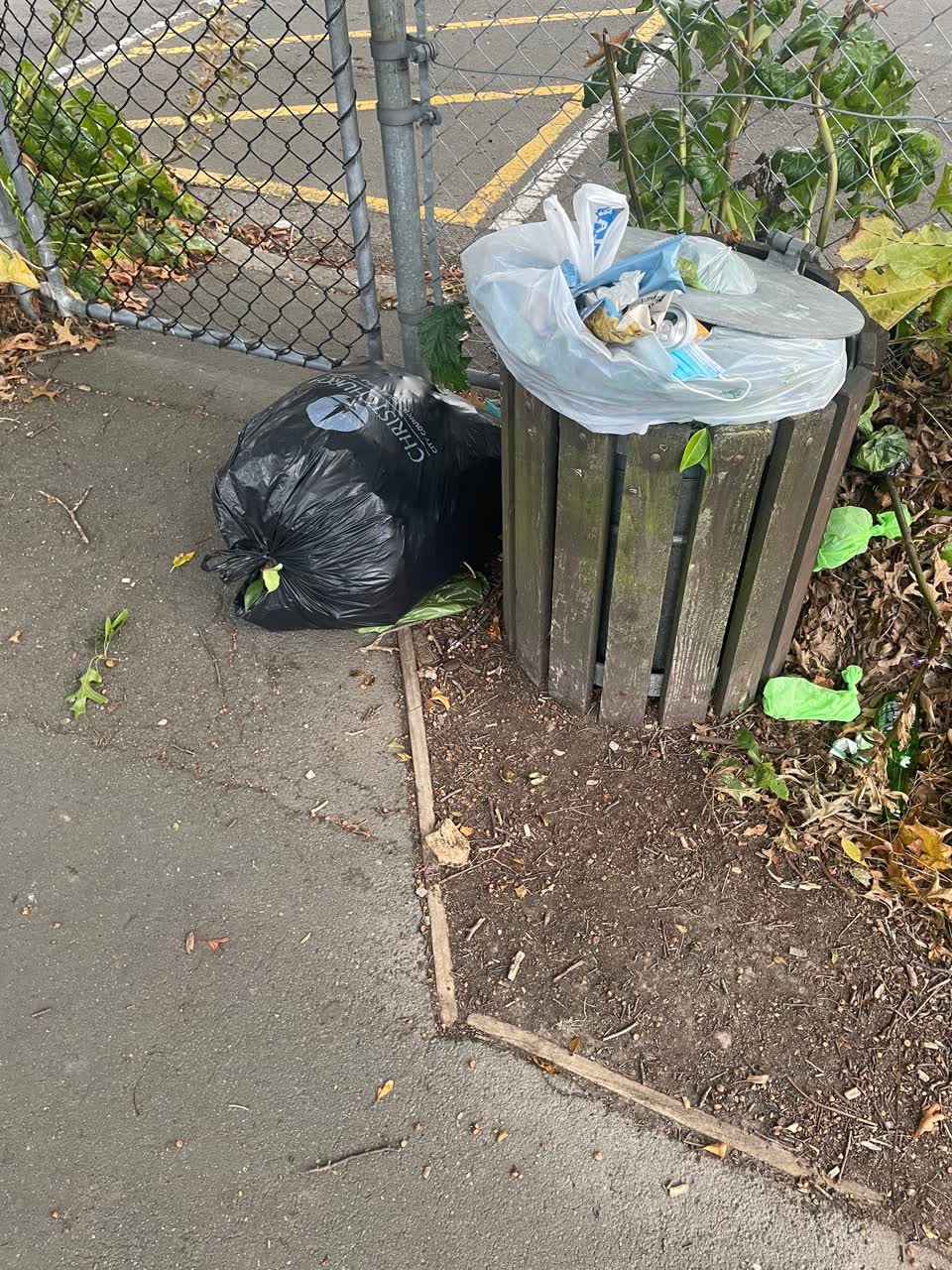 The photograph attached to this rubbish/recycling report