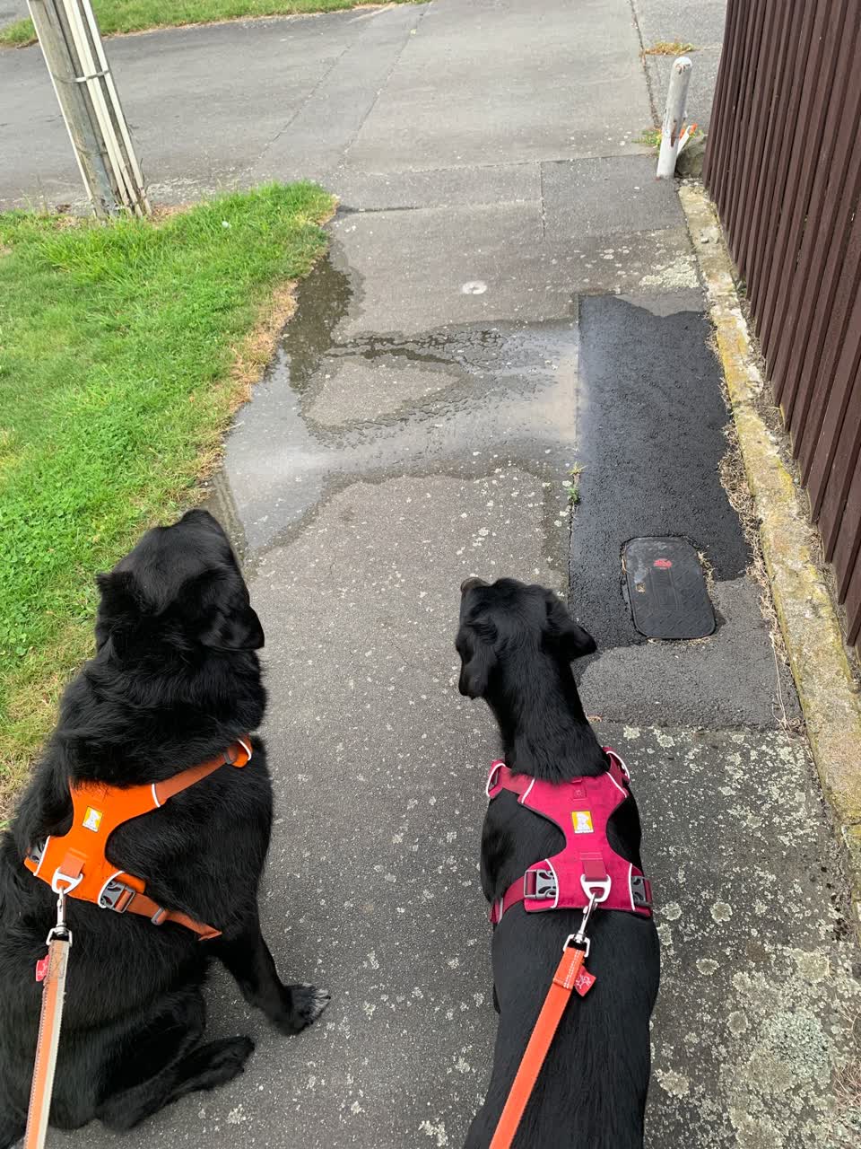 The photograph attached to this water leak report
