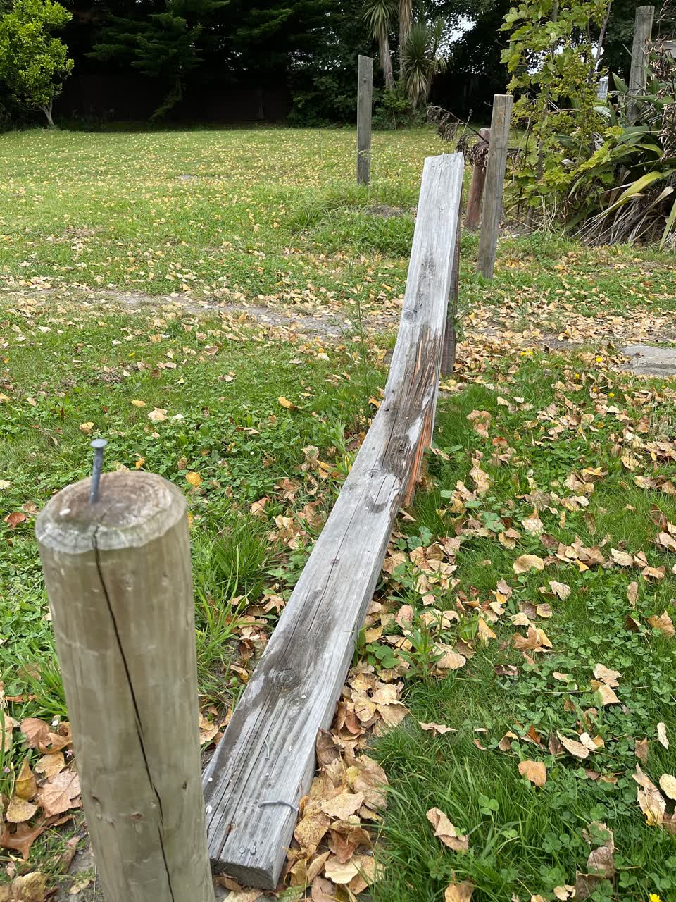The photograph attached to this parks report