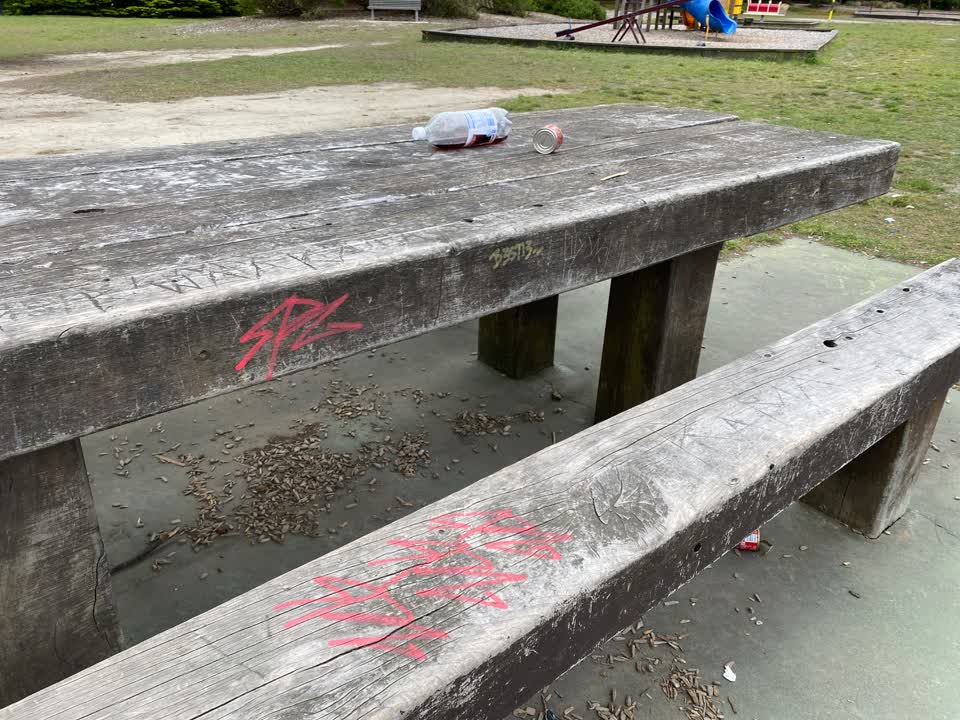 The photograph attached to this graffiti report