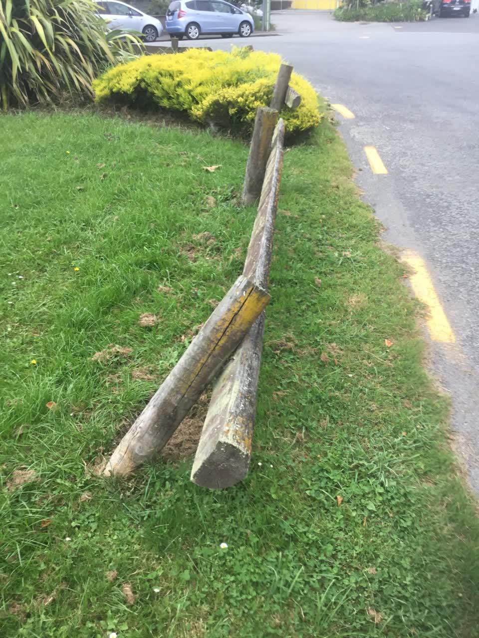 The photograph attached to this parks report
