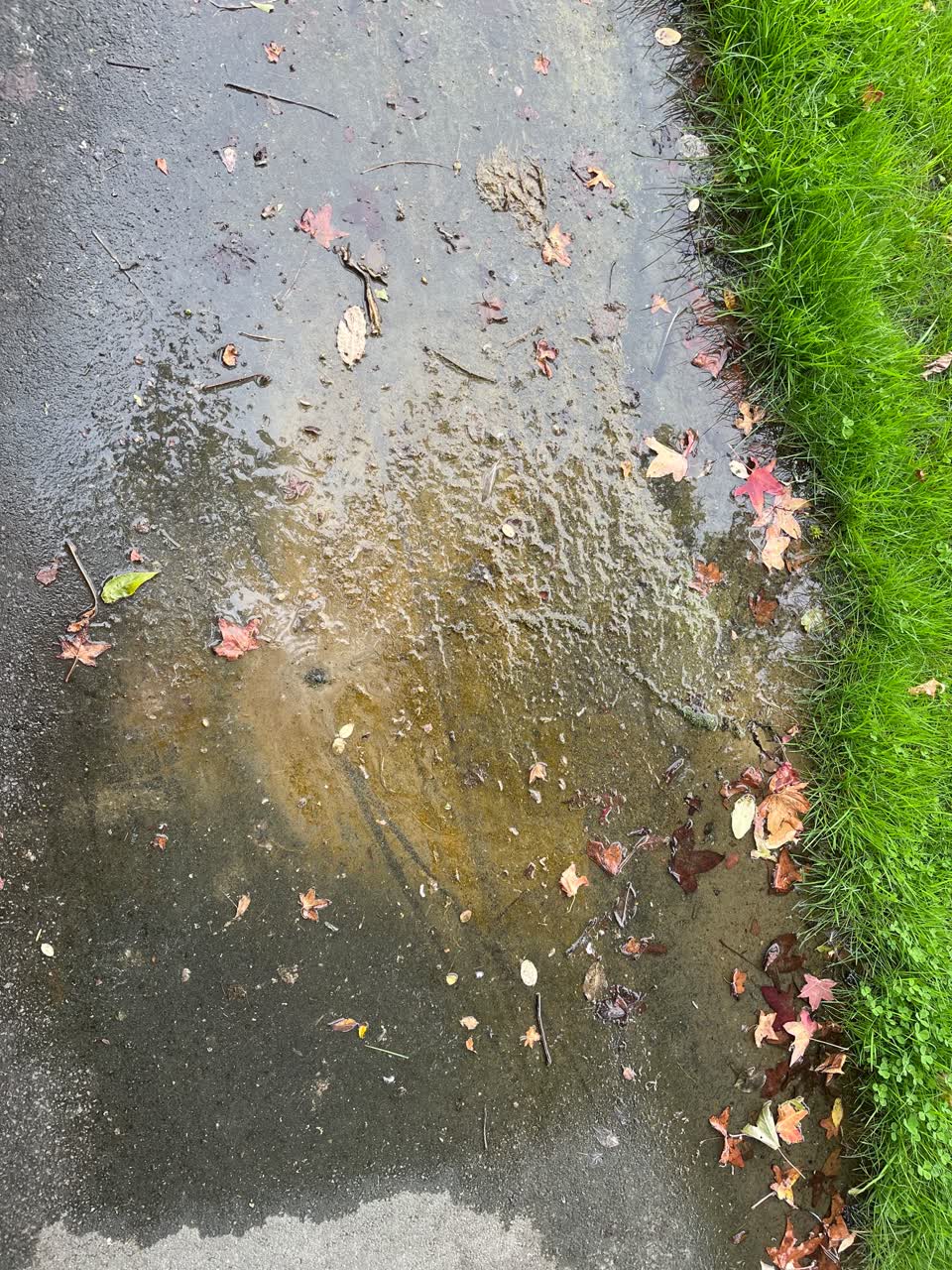 The photograph attached to this water leak report