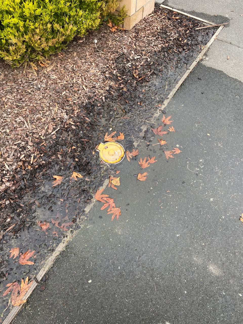 The photograph attached to this water leak report